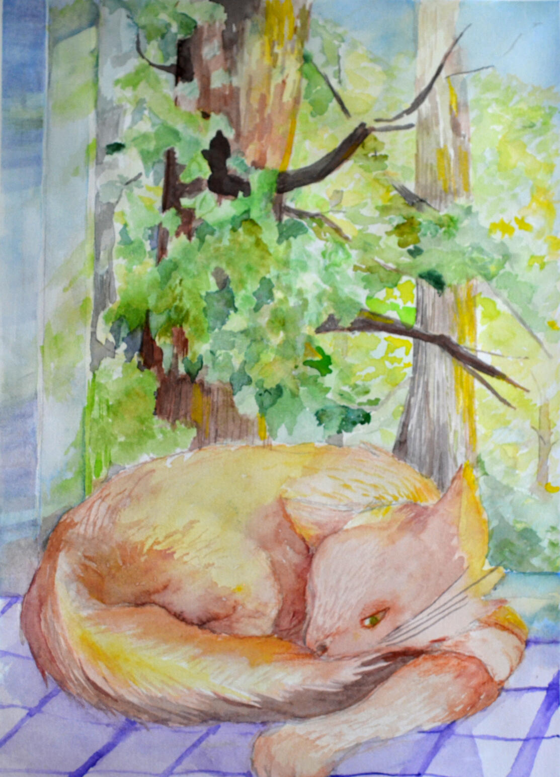 A Cat Nap